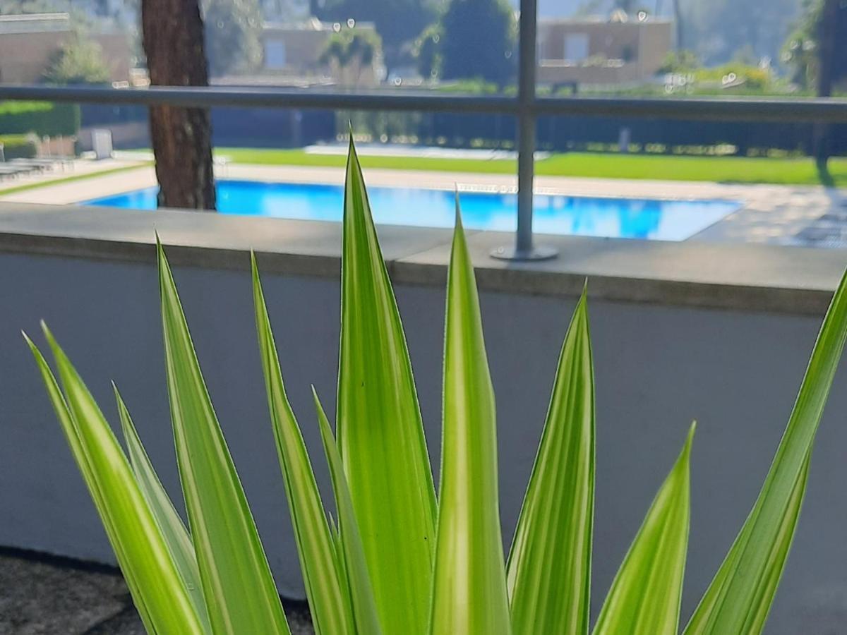 Barca House - Nature - Golf - Pool & Beach Esposende Exteriör bild